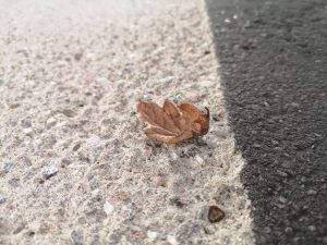 Fräsen - Schleifen - Kugelstrahlen Bild (7)